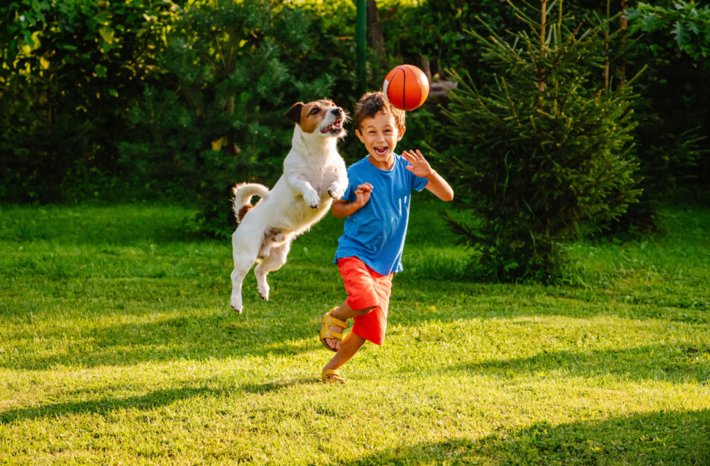 A young boy playing with a ball with his pet dog outdoors.